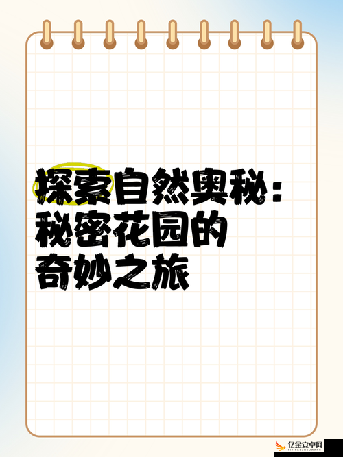 秘密花园入口：一个充满神秘与奇幻色彩的奇妙之地